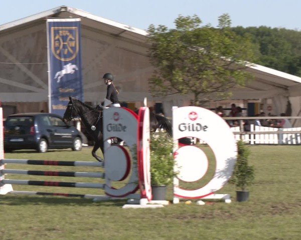 Reitturnier Wilkenburg 2025