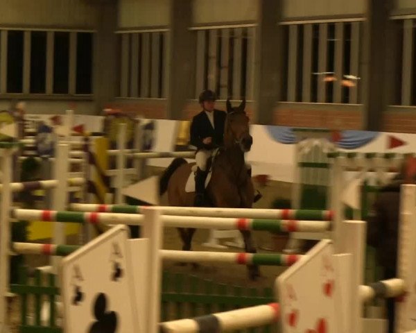 Hallen-Springturnier Greven 2014