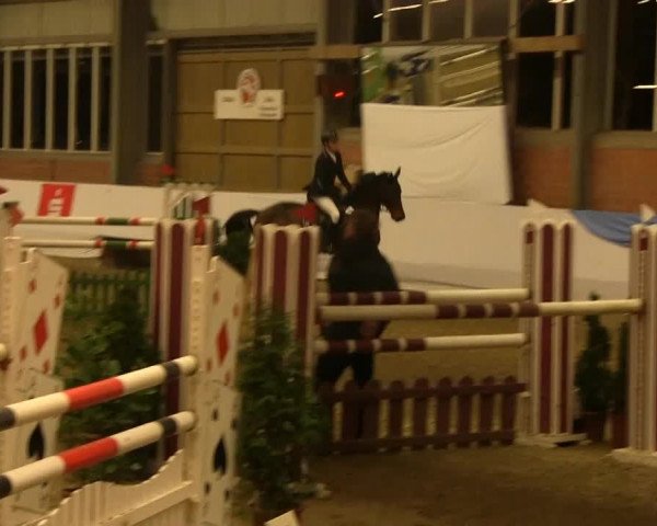 Hallen-Springturnier Greven 2014