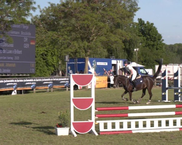 Reitturnier Wilkenburg 2025