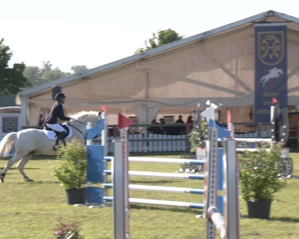 Reitturnier Wilkenburg 2025