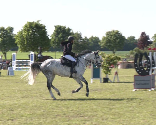 Reitturnier Wilkenburg 2025