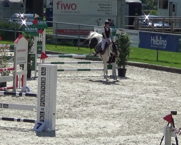 Reitturnier Werdenberg 2025