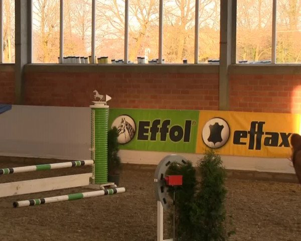 Hallen-Springturnier Greven 2014