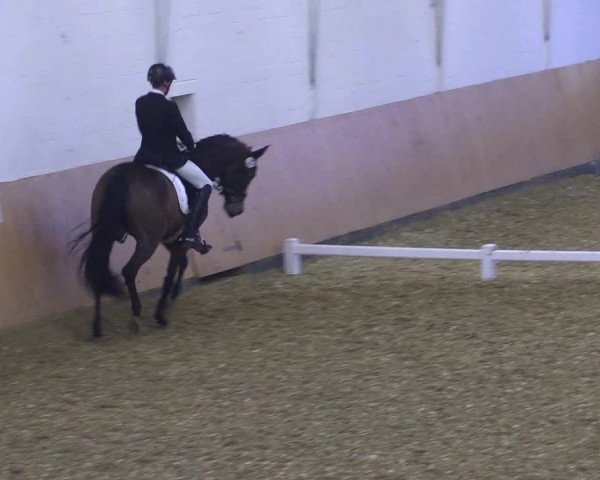 Reitturnier Datteln 2021