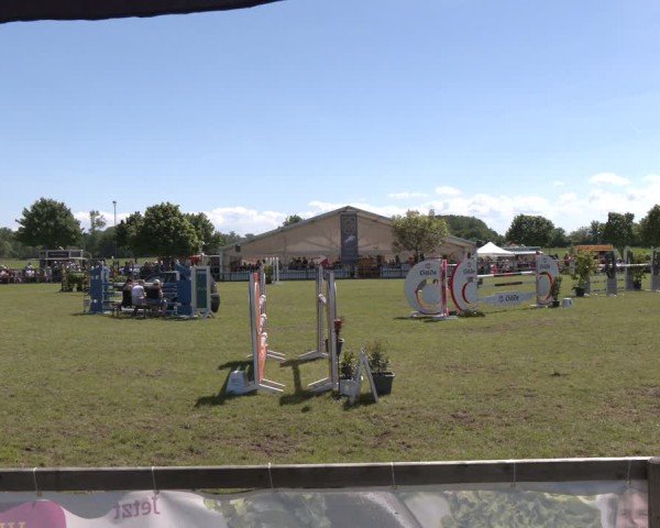 Reitturnier Wilkenburg 2025