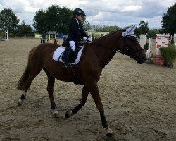 broodmare Fame (Westphalian, 1997, from Festivo)
