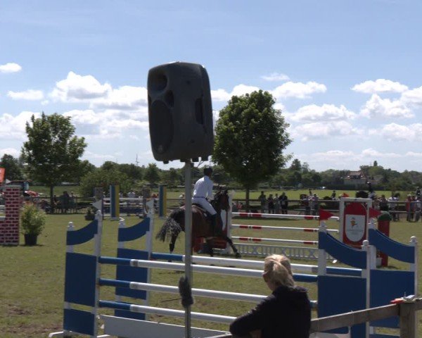 Reitturnier Wilkenburg 2025