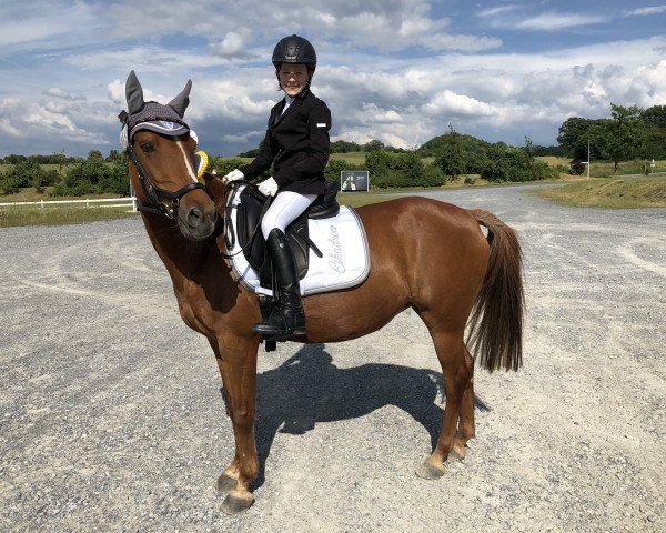 Dressurpferd Greta 102 (Deutsches Reitpony, 2000, von Naxus)