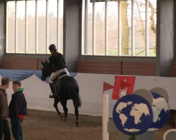 Hallen-Springturnier Greven 2014