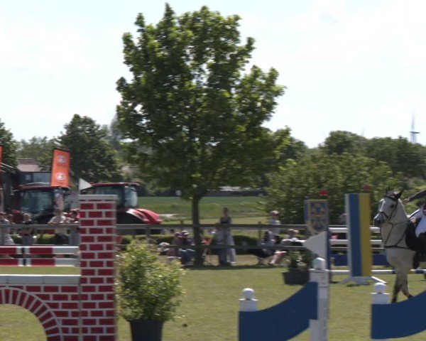 Reitturnier Wilkenburg 2025