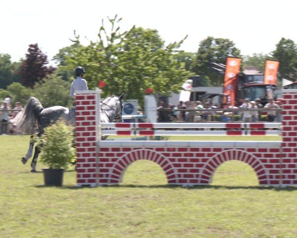 Reitturnier Wilkenburg 2025