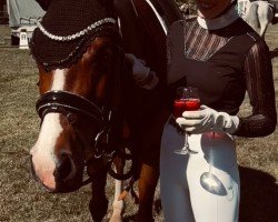horse Bella Liberty (Hanoverian, 2019)