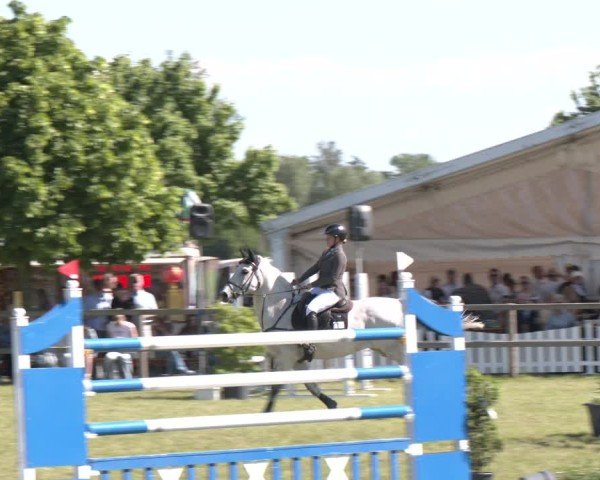 Reitturnier Wilkenburg 2025