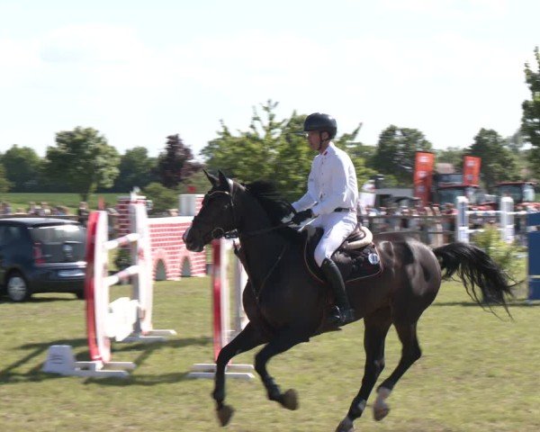 Reitturnier Wilkenburg 2025
