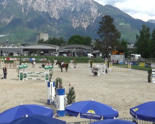 Reitturnier Werdenberg 2025