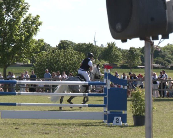 Reitturnier Wilkenburg 2025