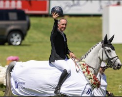 Springpferd Scarteen (Großbritannien Warmblut, 2013, von VDL Cardento 933)