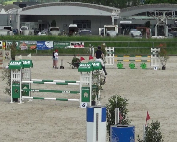 Reitturnier Werdenberg 2025