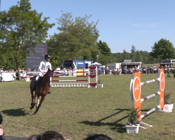 Reitturnier Wilkenburg 2025