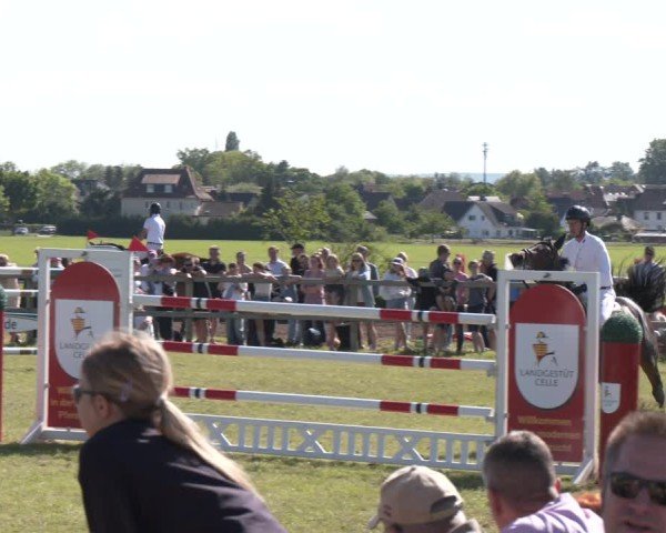 Reitturnier Wilkenburg 2025