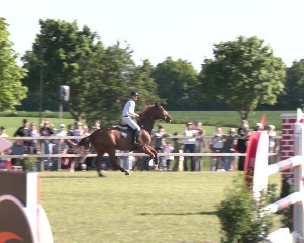 Reitturnier Wilkenburg 2025