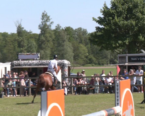 Reitturnier Wilkenburg 2025