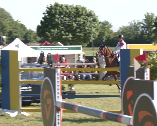 Reitturnier Wilkenburg 2025