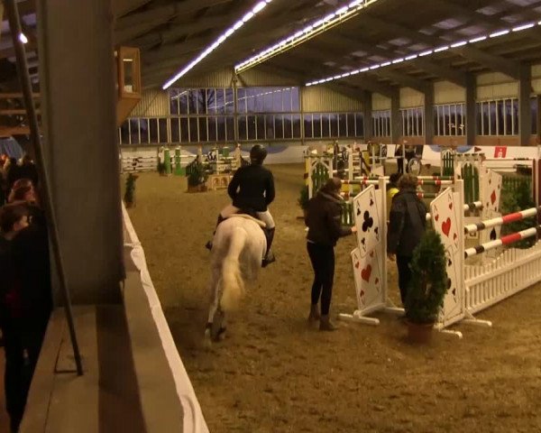 Hallen-Springturnier Greven 2014