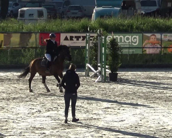 Reitturnier Werdenberg 2025
