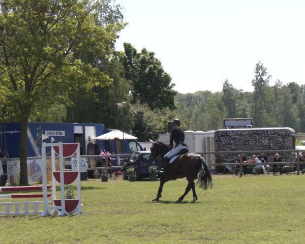 Reitturnier Wilkenburg 2025