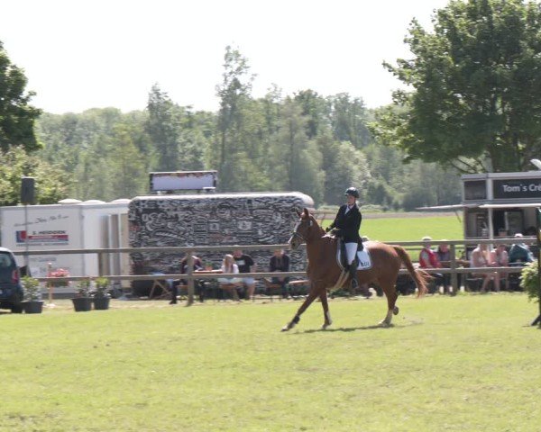 Reitturnier Wilkenburg 2025