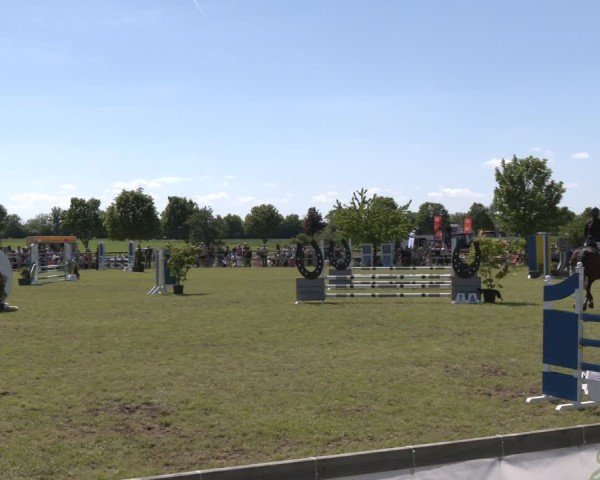 Reitturnier Wilkenburg 2025