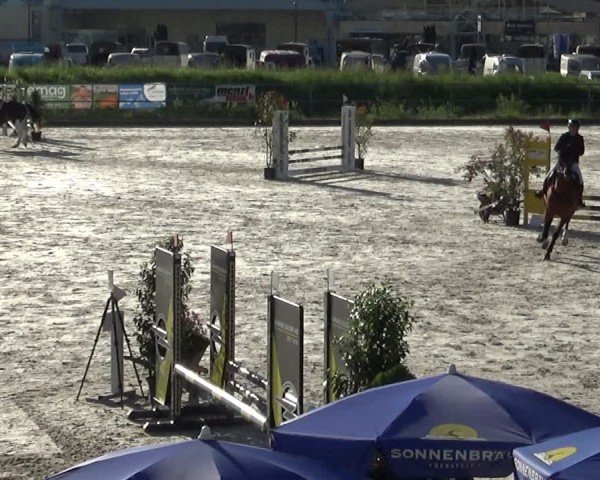 Reitturnier Werdenberg 2025