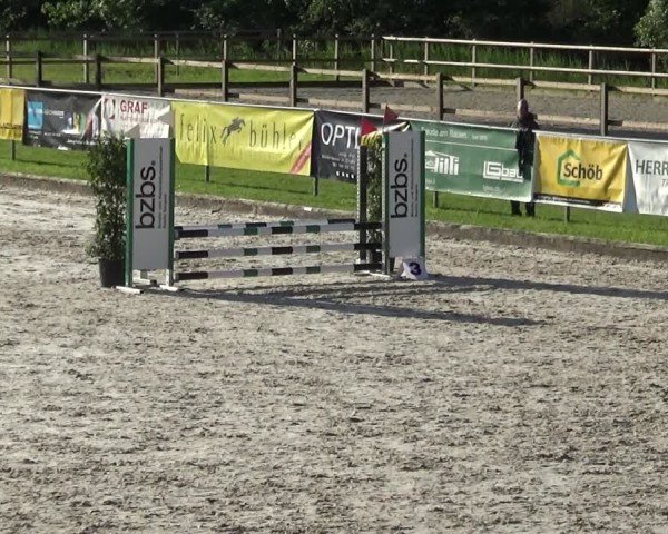Reitturnier Werdenberg 2025