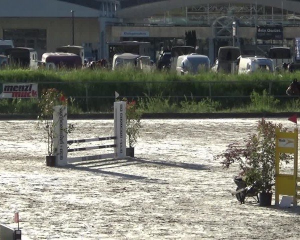 Reitturnier Werdenberg 2025