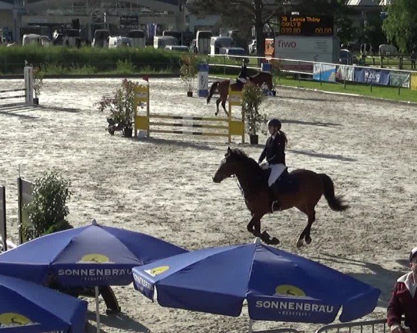 Reitturnier Werdenberg 2025