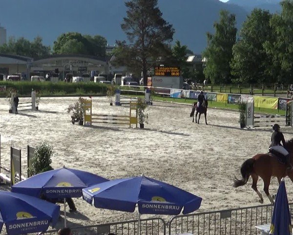 Reitturnier Werdenberg 2025