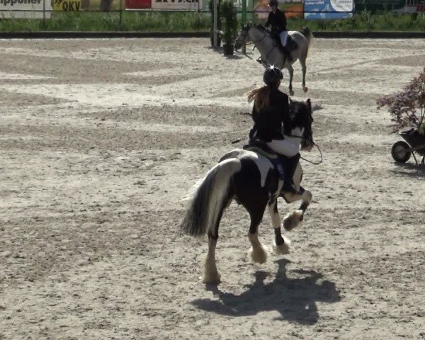 Reitturnier Werdenberg 2025