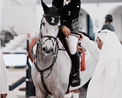 jumper Bp Arctic Blue (Oldenburg show jumper, 2016, from A Pikachu de Muze)