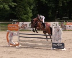 jumper Halina 59 (Holsteiner, 2015, from Cascadello)