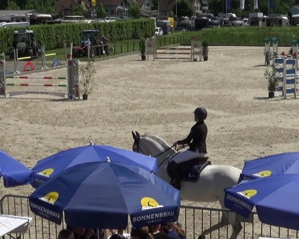 Reitturnier Werdenberg 2025