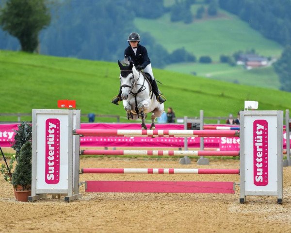 broodmare Pbm Charisma (Holsteiner, 2010, from Clarimo Ask)