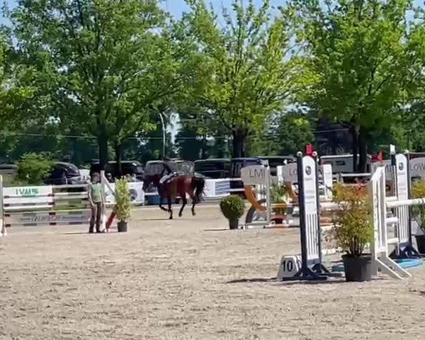 Reitturnier Barlo-Bocholt 2025
