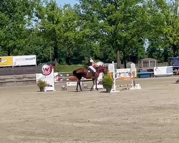 Reitturnier Barlo-Bocholt 2025