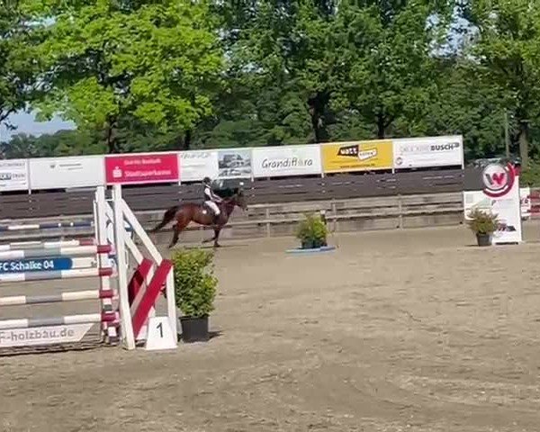 Reitturnier Barlo-Bocholt 2025
