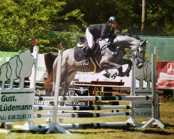 horse Colette 130 (Hanoverian, 2021)