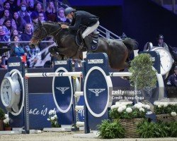 jumper Belle Amie vd Dassenheide Z (Zangersheide riding horse, 2016, from Bamako de Muze)