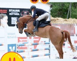 jumper Wonder Woman 7 (German Sport Horse, 2018, from Nabab de Rêve)