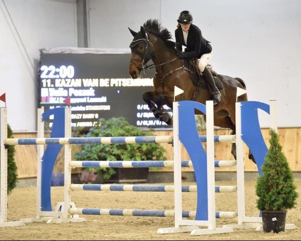 jumper Kazan van de Pitsemburg (Belgian Warmblood, 2010, from Muscaris D'Ariel)
